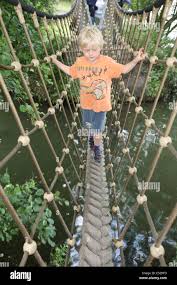 Image result for PONT DE SINGE