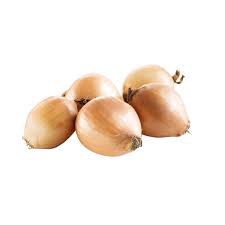 Image result for Zwiebeln