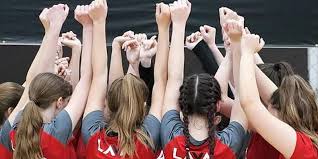 Image result for Newbury Volleyball Club