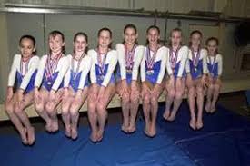 Image result for Bulmershe Gymnastics Club