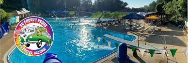 Image result for Hazel Grove & Bramhall Swimming Club