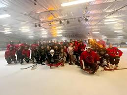 Image result for Cardiff Comets Ladies Ice Hockey