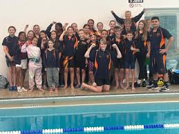 Image result for Swimming Skills Cornwall | St Ives