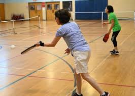 Image result for Springfields Badminton Club