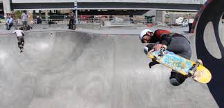 Image result for Skate Extreme