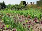 Vegetable garden at Great - via Daymix