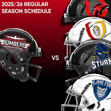 Image result for Staffordshire Stallions