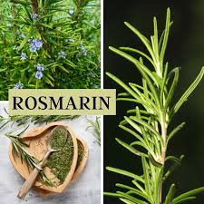 Image result for Rosmarin