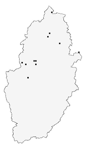 Attēlu rezultāti vaicājumam “Eupoecilia angustana”