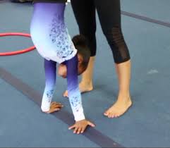 Image result for North East London Gymnastics Club