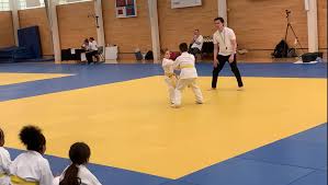 Image result for Kenshukai Karate