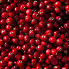 Attēlu rezultāti vaicājumam “Oxycoccus fruit”