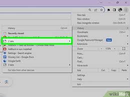 Image result for Show my windows and tabs from last time