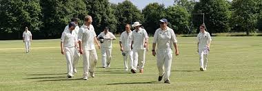 Image result for Hungerford Cricket Club