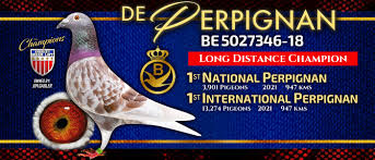 Image result for Meridian Racing Pigeon Lofts