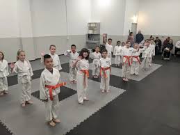 Image result for Carn Brea Karate Kai