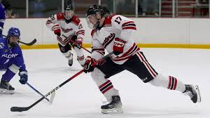 Image result for Pontypool Skater Hockey Club