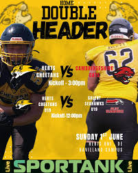 Image result for Chiltern Cheetahs American Football Club