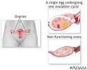 <b>Ovarian</b> hypofunction