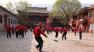 Image result for Shaolin Ancestors kung Fu School