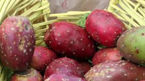 Attēlu rezultāti vaicājumam “Carex acuta fruit”