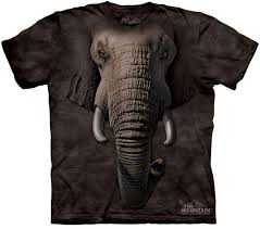ANIMALE4