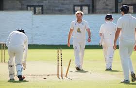 Image result for Cherry Tree Cricket Club