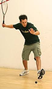 Image result for Sandown Park Squash Club