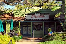 Image result for Enzian