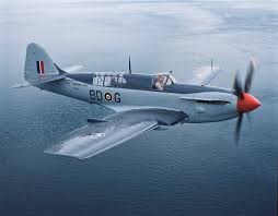 Image result for Fareham Fireflys Yc