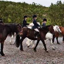 Image result for Liverpool Equestrian Club