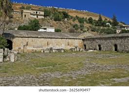 Attēlu rezultāti vaicājumam “Apamea ophiogramma”