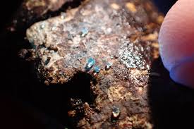 Attēlu rezultāti vaicājumam “Craterium minutum young”