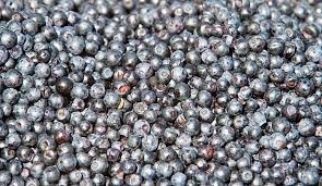 Attēlu rezultāti vaicājumam “Vaccinium myrtillus fruit”