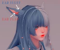 Image result for ear mod