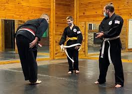 Image result for Taunton Karate Jutsu