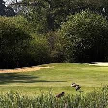 Image result for Hartley Wintney Golf Club Limited