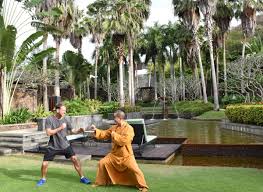 Image result for Intelligent Martial Arts