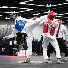 Image result for Taekwondo Athletes Program USA