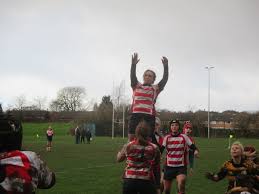 Image result for Sefton Rufc