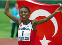 elvan abeylegesse #167130 - uludağ sözlük galeri
