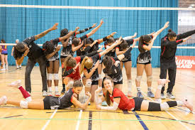 Image result for Malory Eagles volleyball club