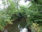South Downs Society Green Travel Walks Week (14). Trout fishing business - via Daymix
