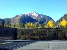Image result for Acomb Tennis Club