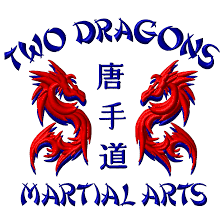 Image result for Dragon Martial Arts Association