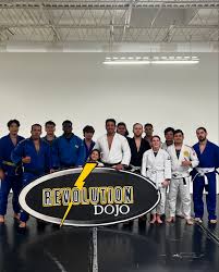 Image result for Revolution Dojo