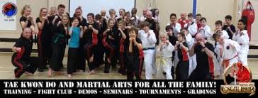 Image result for Excalibur Martial Arts