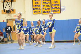 Image result for RT Twilights Cheerleading