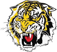 Image result for Mitcham Cricket Club