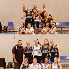Image result for Elmbridge Girls Basketball Club